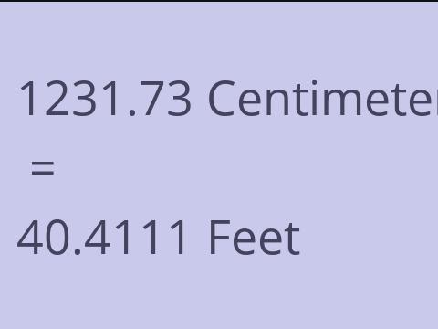 1231.73 CM TO FEET