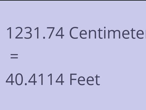 1231.74 CM TO FEET