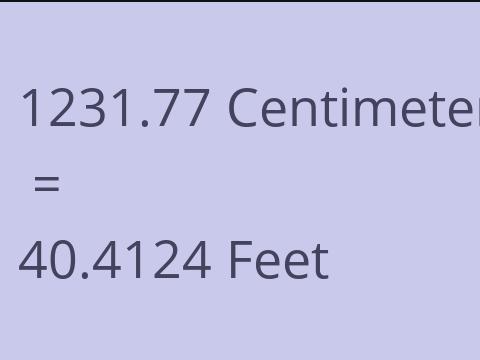 1231.77 CM TO FEET