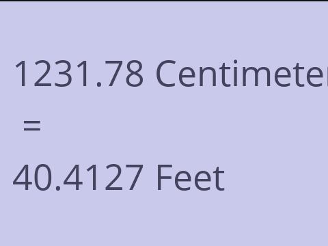 1231.78 CM TO FEET