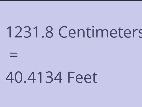 1231.8 CM TO FEET