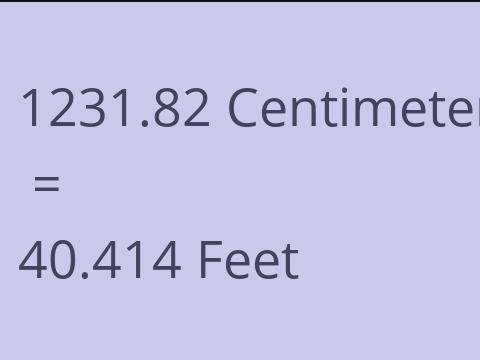 1231.82 CM TO FEET