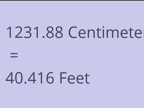 1231.88 CM TO FEET