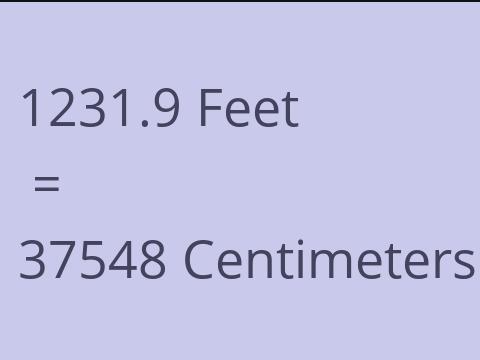 1231.9 FEET TO CM