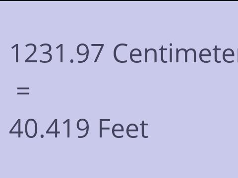 1231.97 CM TO FEET