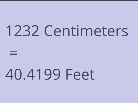 1232 CM TO FEET