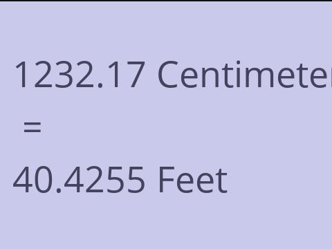 1232.17 CM TO FEET