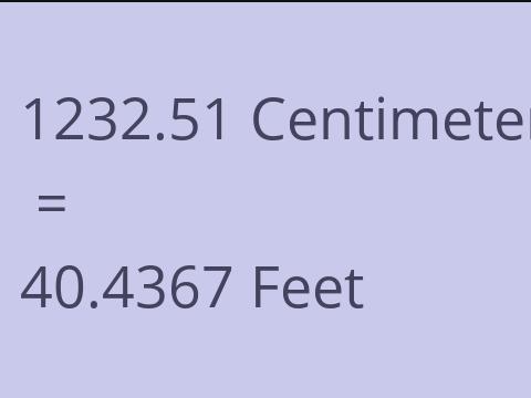 1232.51 CM TO FEET