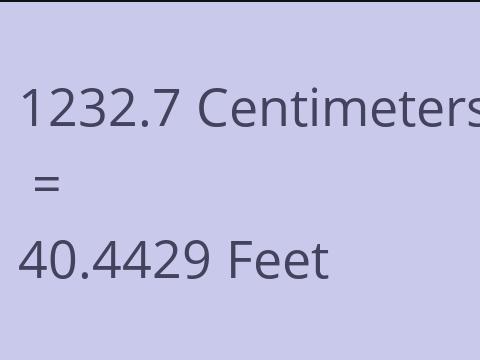 1232.7 CM TO FEET