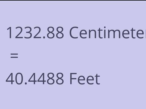 1232.88 CM TO FEET