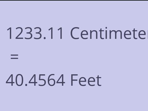 1233.11 CM TO FEET