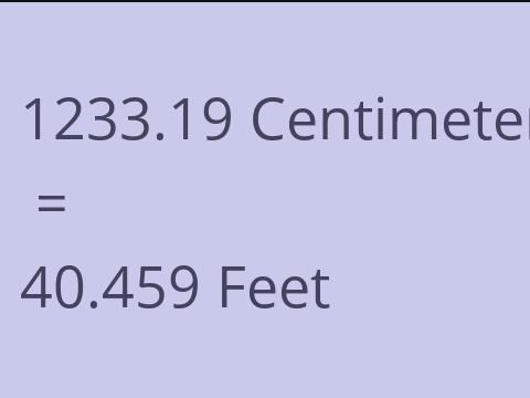 1233.19 CM TO FEET