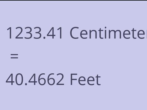 1233.41 CM TO FEET