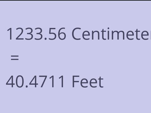 1233.56 CM TO FEET