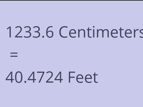 1233.6 CM TO FEET