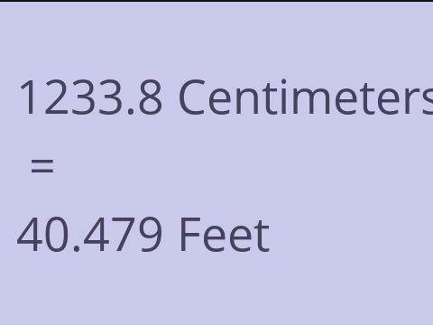 1233.8 CM TO FEET