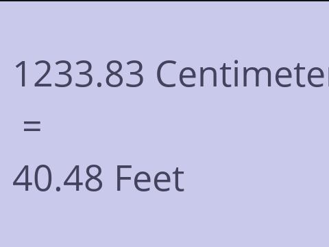 1233.83 CM TO FEET