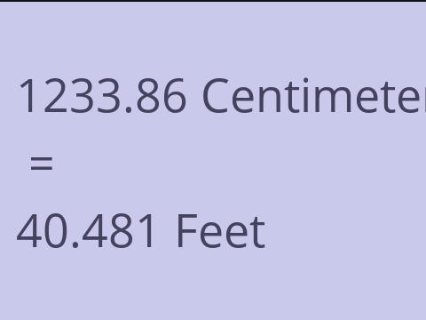 1233.86 CM TO FEET