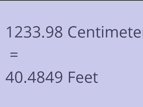 1233.98 CM TO FEET