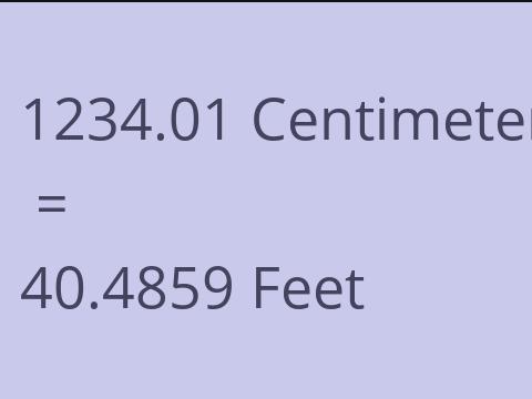 1234.01 CM TO FEET