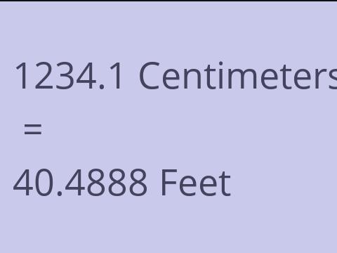 1234.1 CM TO FEET