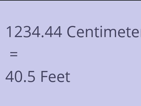 1234.44 CM TO FEET