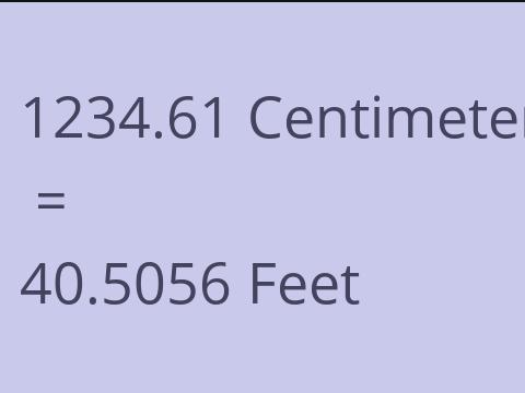 1234.61 CM TO FEET