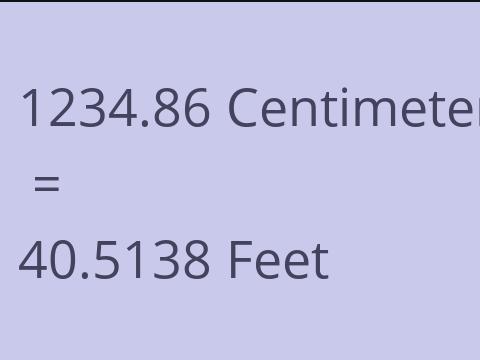 1234.86 CM TO FEET