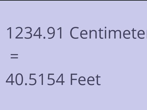 1234.91 CM TO FEET