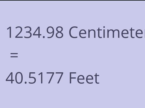 1234.98 CM TO FEET