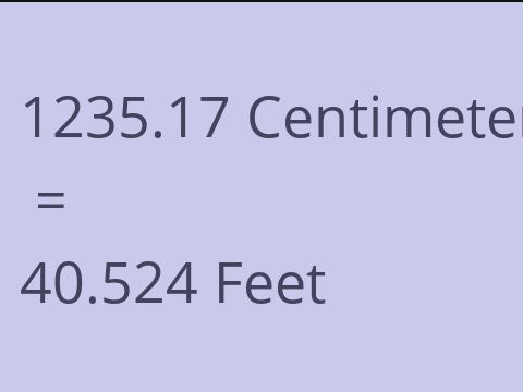 1235.17 CM TO FEET