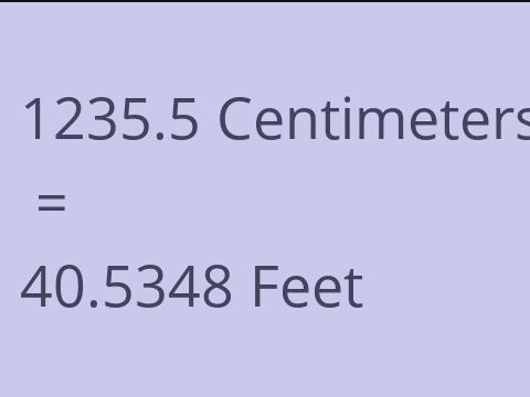 1235.5 CM TO FEET