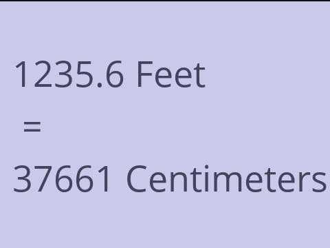 1235.6 FEET TO CM