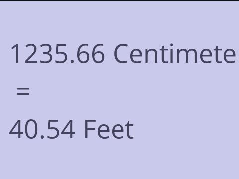 1235.66 CM TO FEET