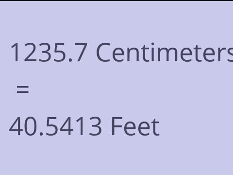 1235.7 CM TO FEET