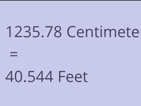 1235.78 CM TO FEET