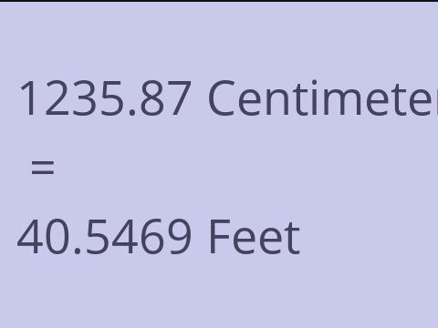 1235.87 CM TO FEET