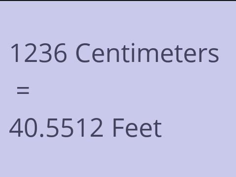 1236 CM TO FEET