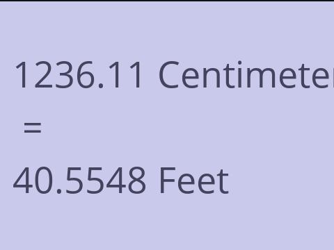 1236.11 CM TO FEET