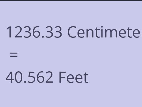 1236.33 CM TO FEET