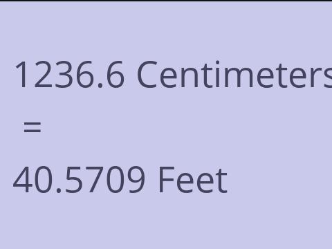 1236.6 CM TO FEET