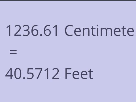 1236.61 CM TO FEET