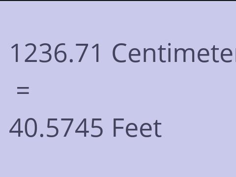 1236.71 CM TO FEET