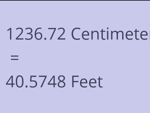 1236.72 CM TO FEET