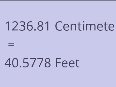 1236.81 CM TO FEET