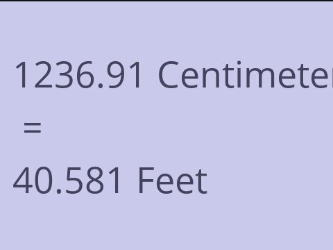 1236.91 CM TO FEET