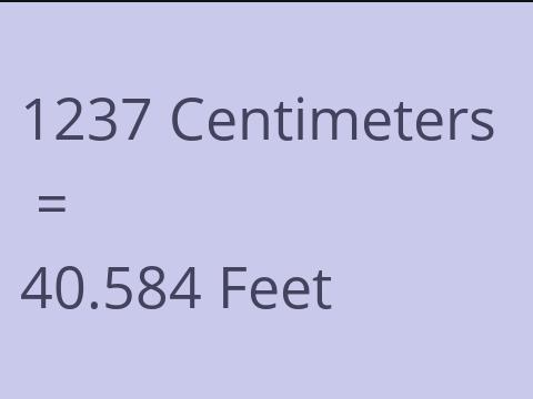 1237 CM TO FEET