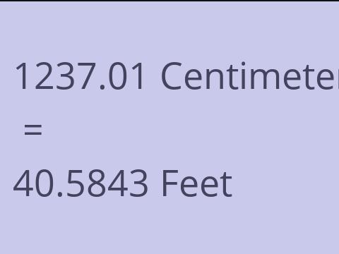 1237.01 CM TO FEET