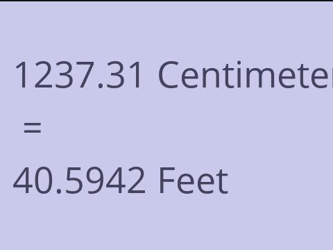 1237.31 CM TO FEET