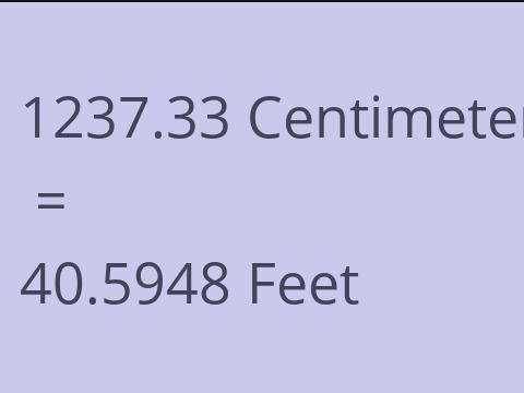 1237.33 CM TO FEET